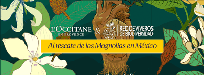 Al rescate de las Magnolias en México