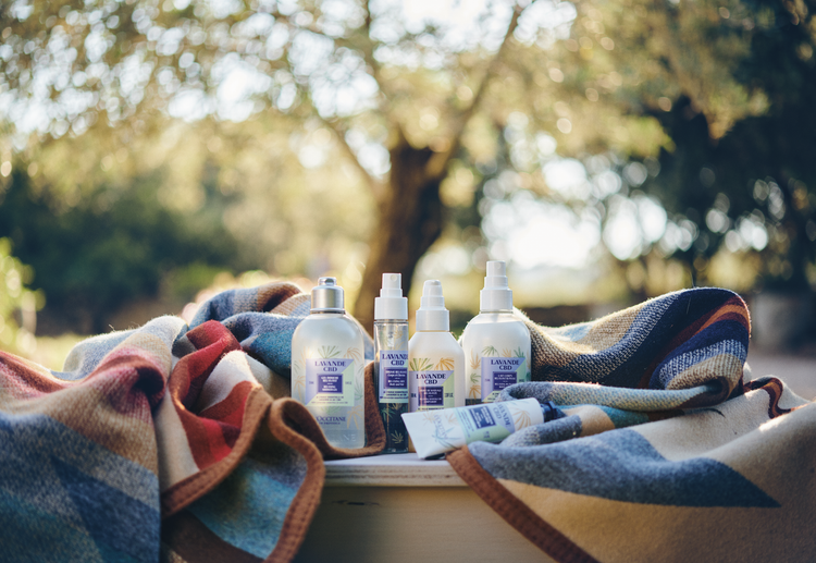 Lavanda CBD