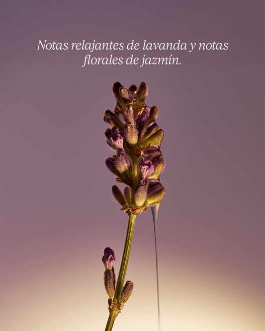 ECO-REFILL JABÓN LÍQUIDO PARA MANOS KARITÉ LAVANDA