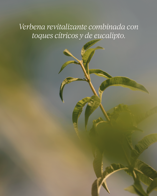 ECO-REFILL JABÓN LÍQUIDO PARA MANOS KARITÉ VERBENA