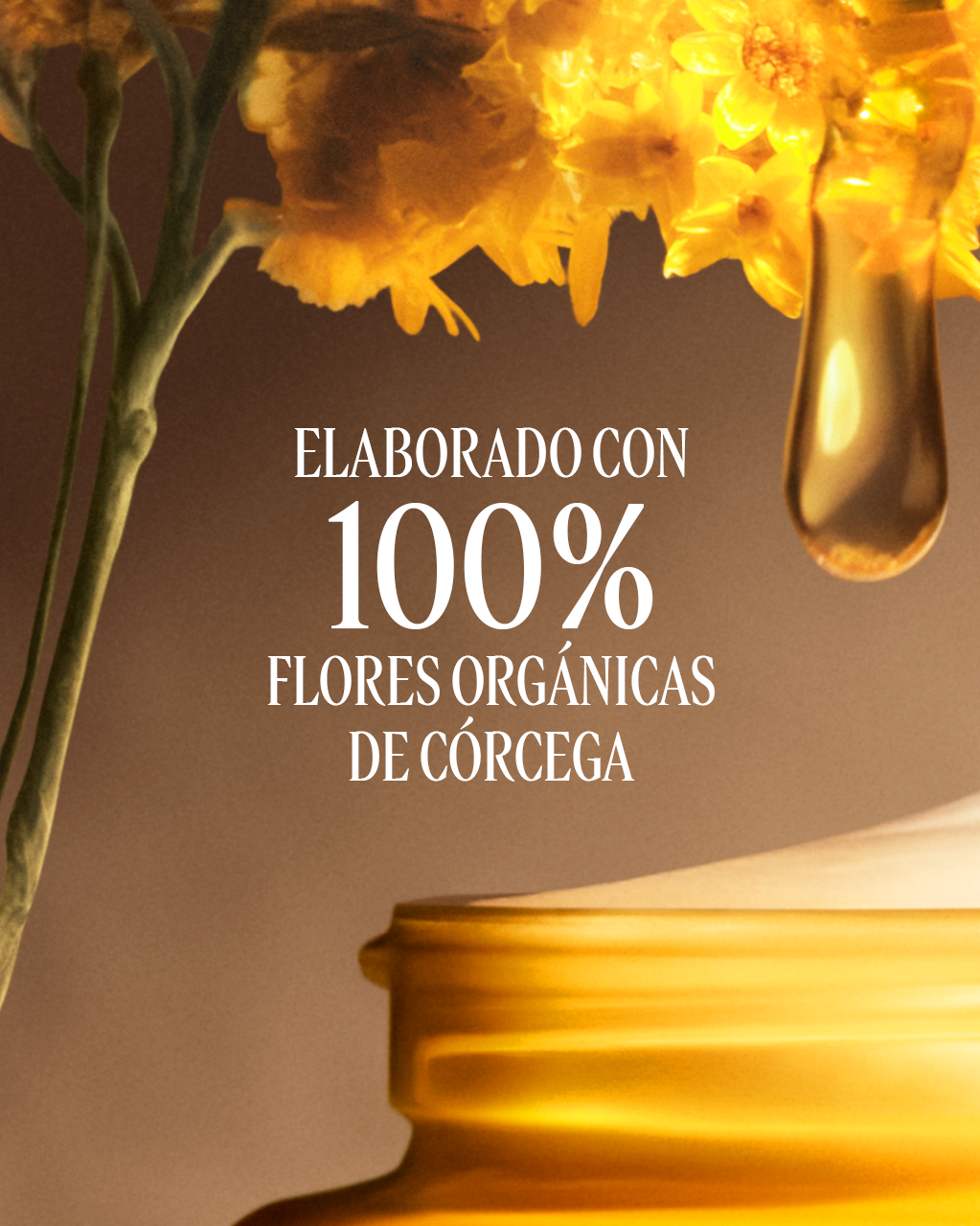 CREMA DIVINE IMMORTELLE