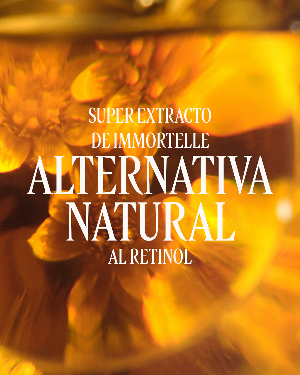 CREMA DIVINE IMMORTELLE