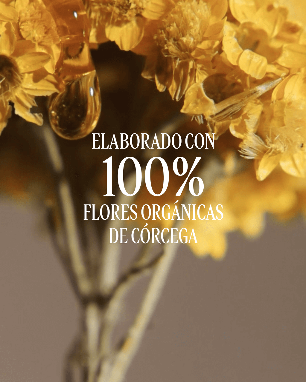 SÉRUM IMMORTELLE RESET