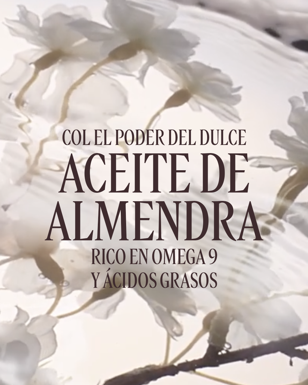 ACEITE DE DUCHA ALMENDRA