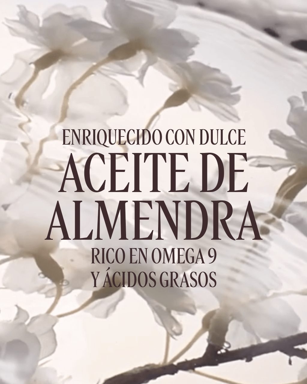 CONCENTRADO DE LECHE DE ALMENDRA
