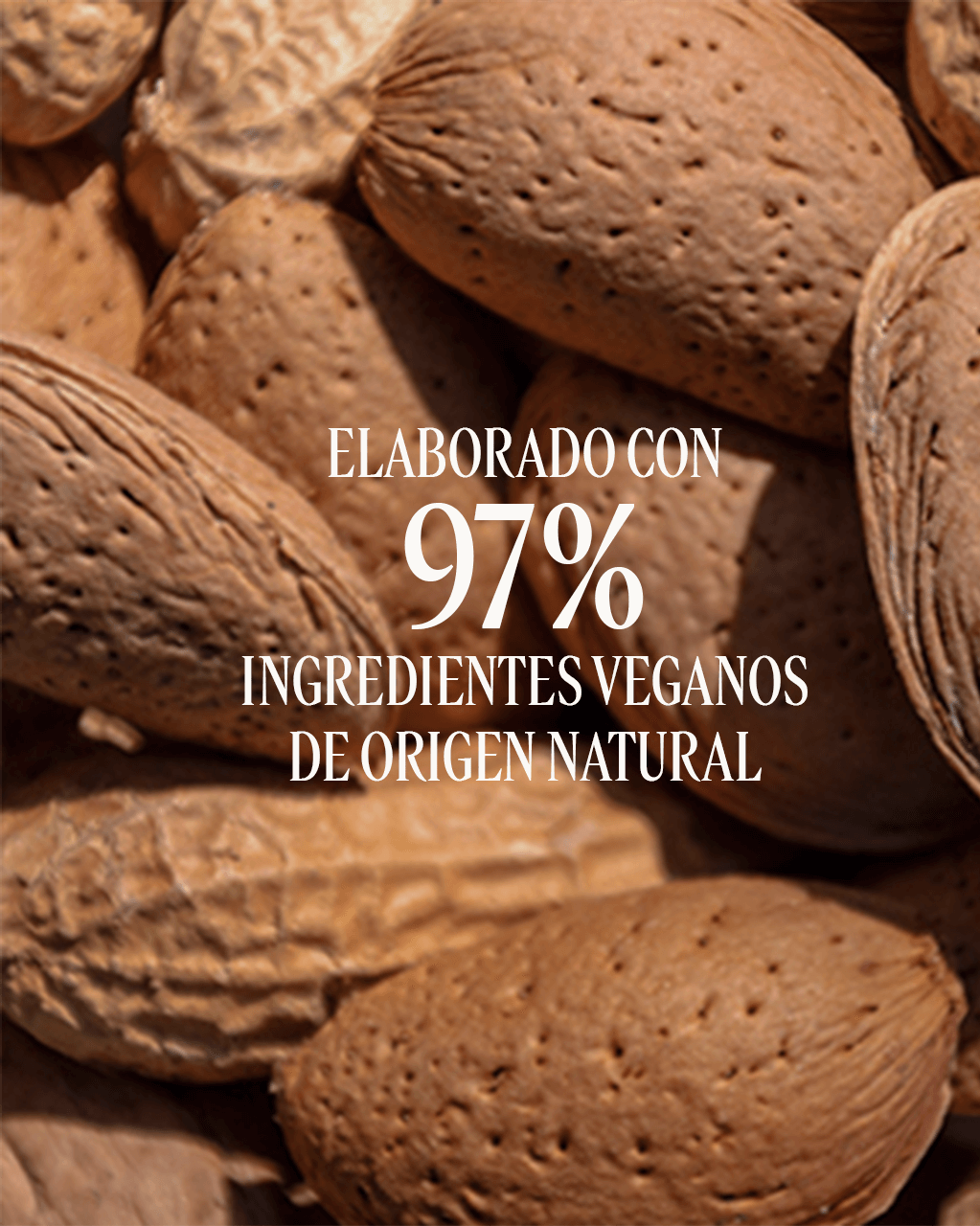 CONCENTRADO DE LECHE DE ALMENDRA