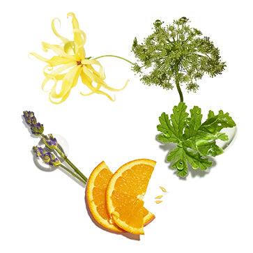 Cocktail Reparador Intenso