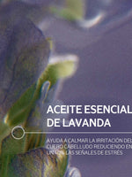 Gentle & Balance Shampoo