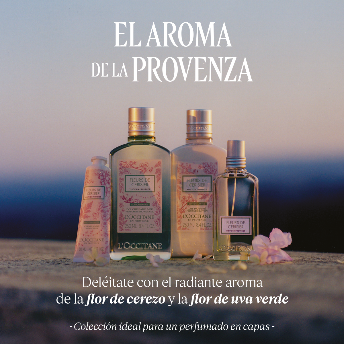 BODY LOTION CHERRY BLOSSOM 250ML