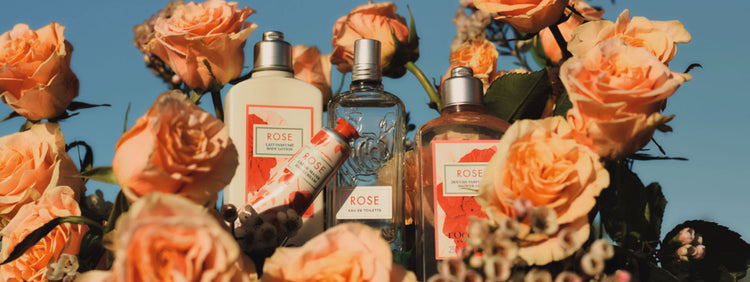 Novedades Rose