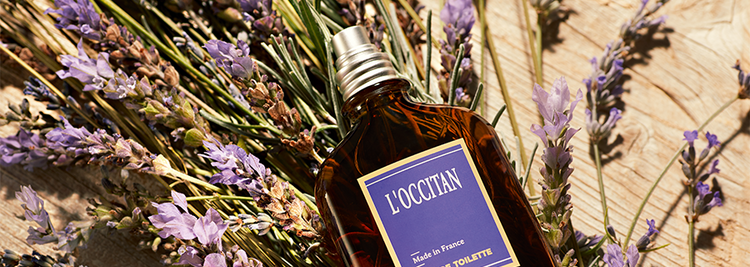 L'Occitan
