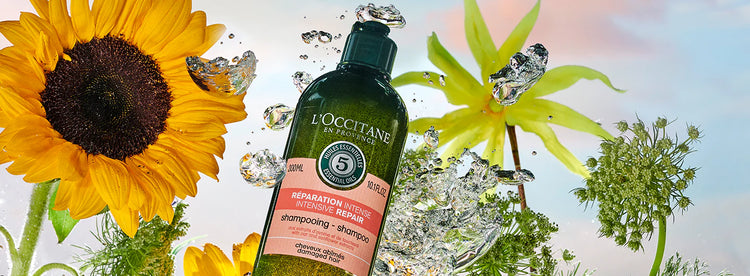 Descuentos Hot en productos para el cuidado del cabello