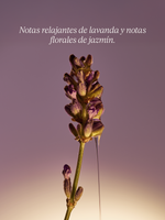 ECO-REFILL JABÓN LÍQUIDO PARA MANOS  KARITÉ LAVANDA