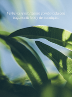 JABÓN LÍQUIDO PARA MANOS KARITÉ VERBENA