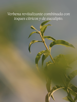 ECO-REFILL JABÓN LÍQUIDO PARA MANOS  KARITÉ VERBENA