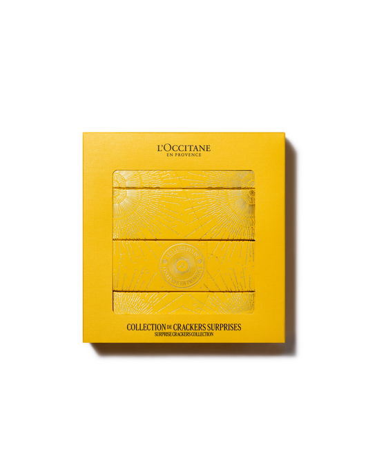 2025 HOLIDAY CRACKERS KIT