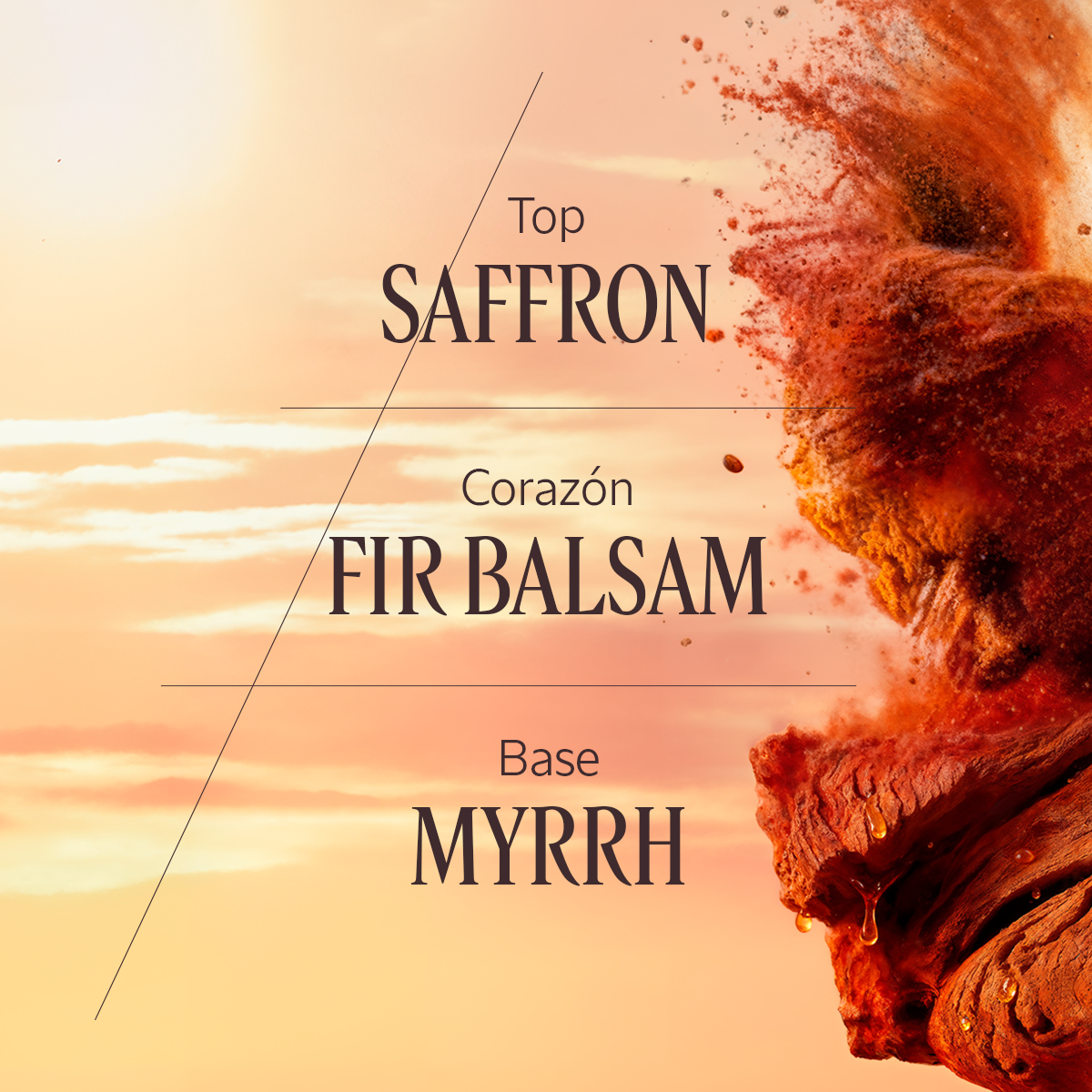 SAFRAN BOISÉ PERFUMED HAND CREAM - Image 3