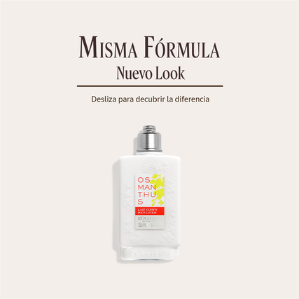 OSMANTHUS ABRICOT BODY LOTION 250 ML_after