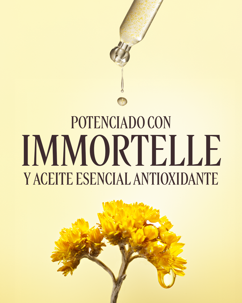 IMMORTELLE PRO-YOUTH SCALP SERUM - Image 3