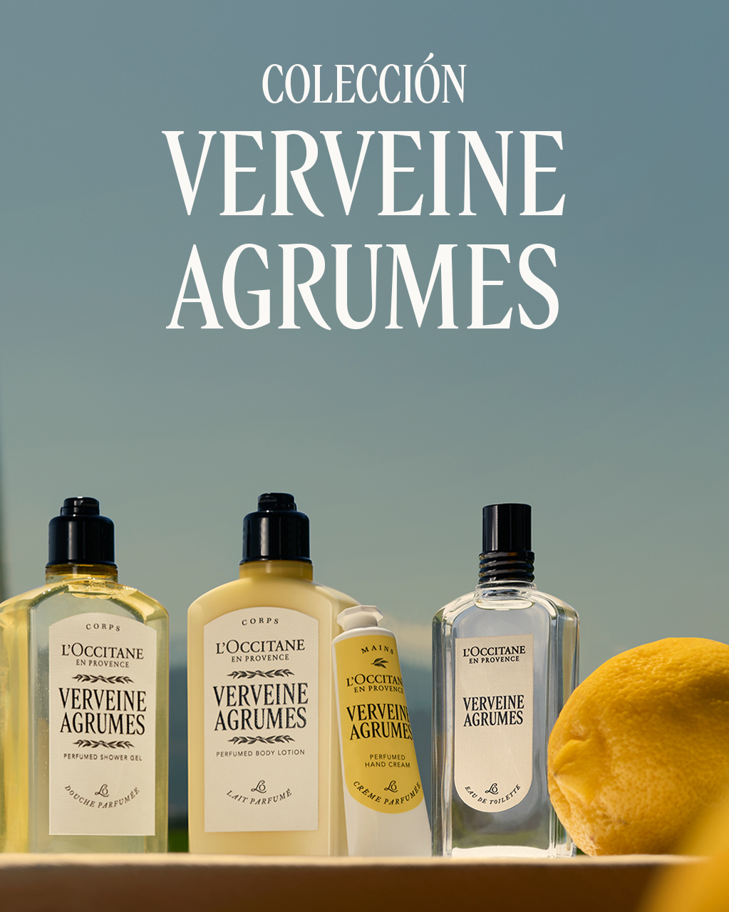 CITRUS VERVENA STICK DEODORANT - Image 4