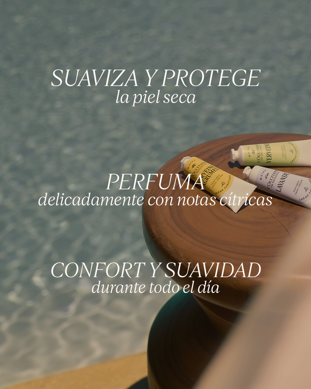 CITRUS VERVENA STICK DEODORANT - Illustration 4