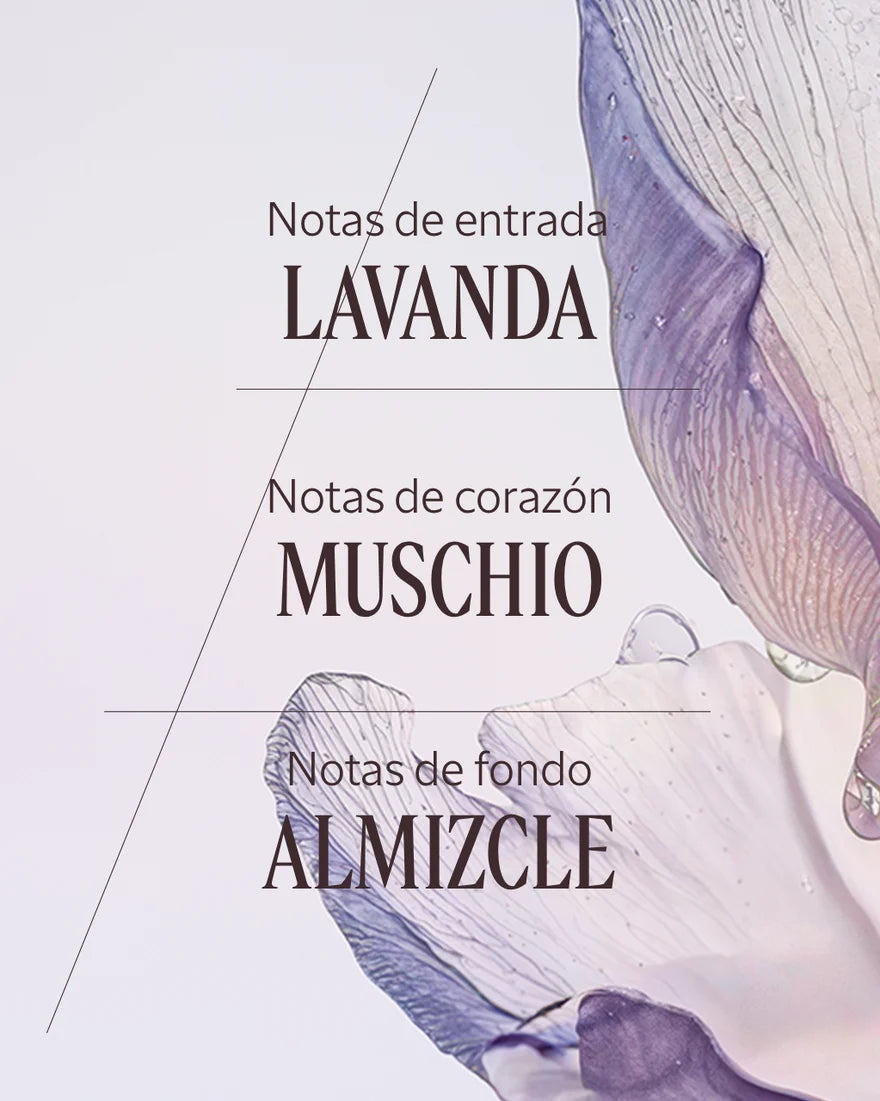 EAU DE TOILETTE LAVANDA BLANCA - Illustration 4