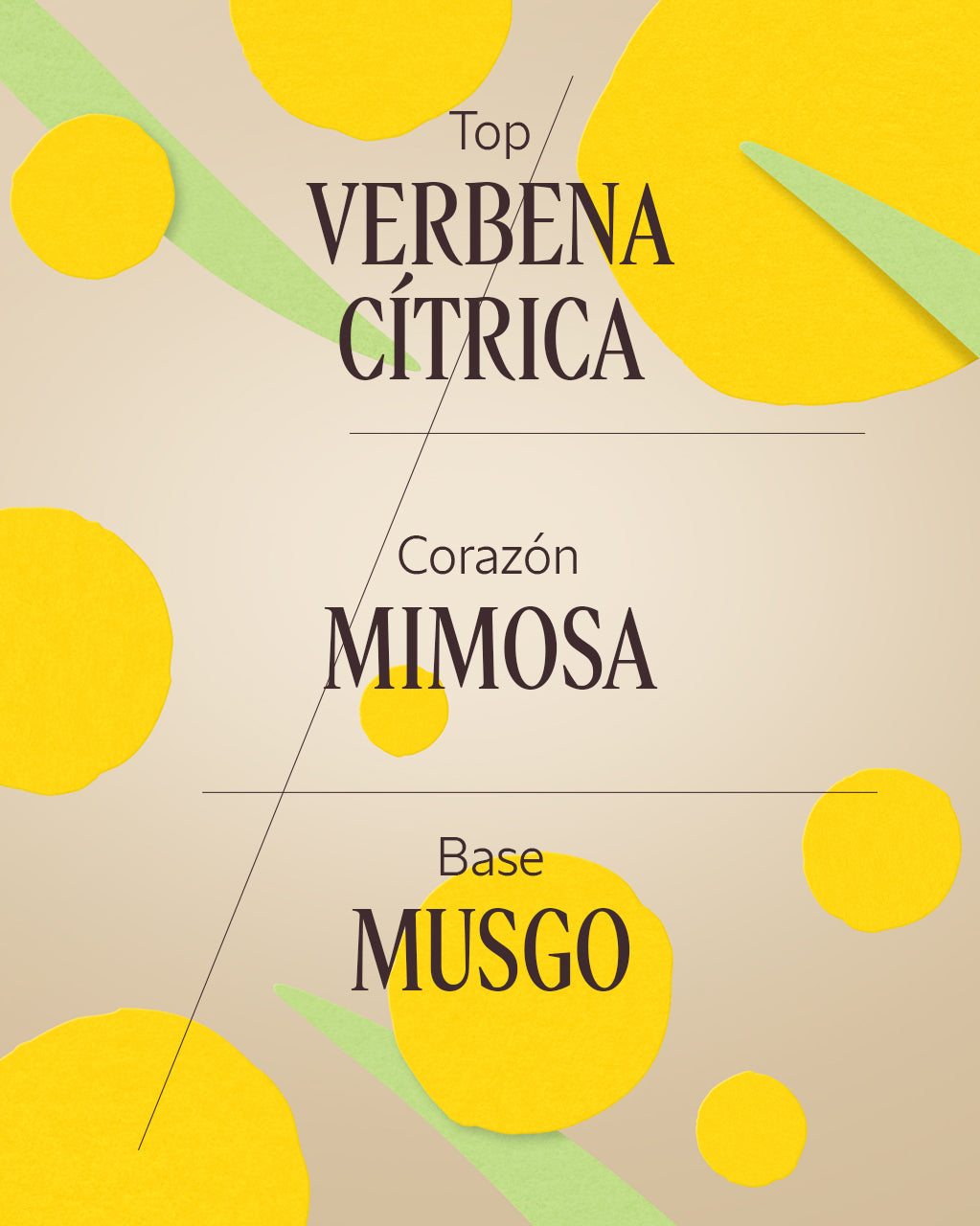 EAU DE TOILETTE VERBENA MIMOSA 50ML