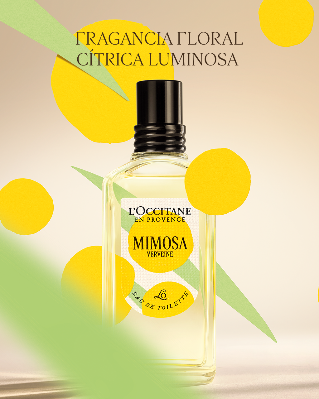 EAU DE TOILETTE VERBENA MIMOSA 50ML