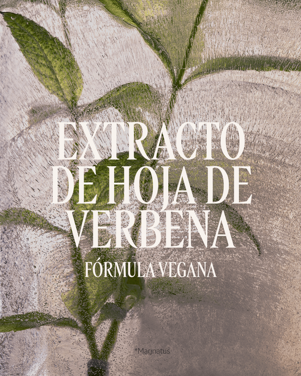 EAU DE TOILETTE VERBENA