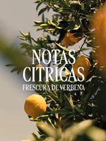 CITRUS VERVENA STICK DEODORANT - Illustration 3