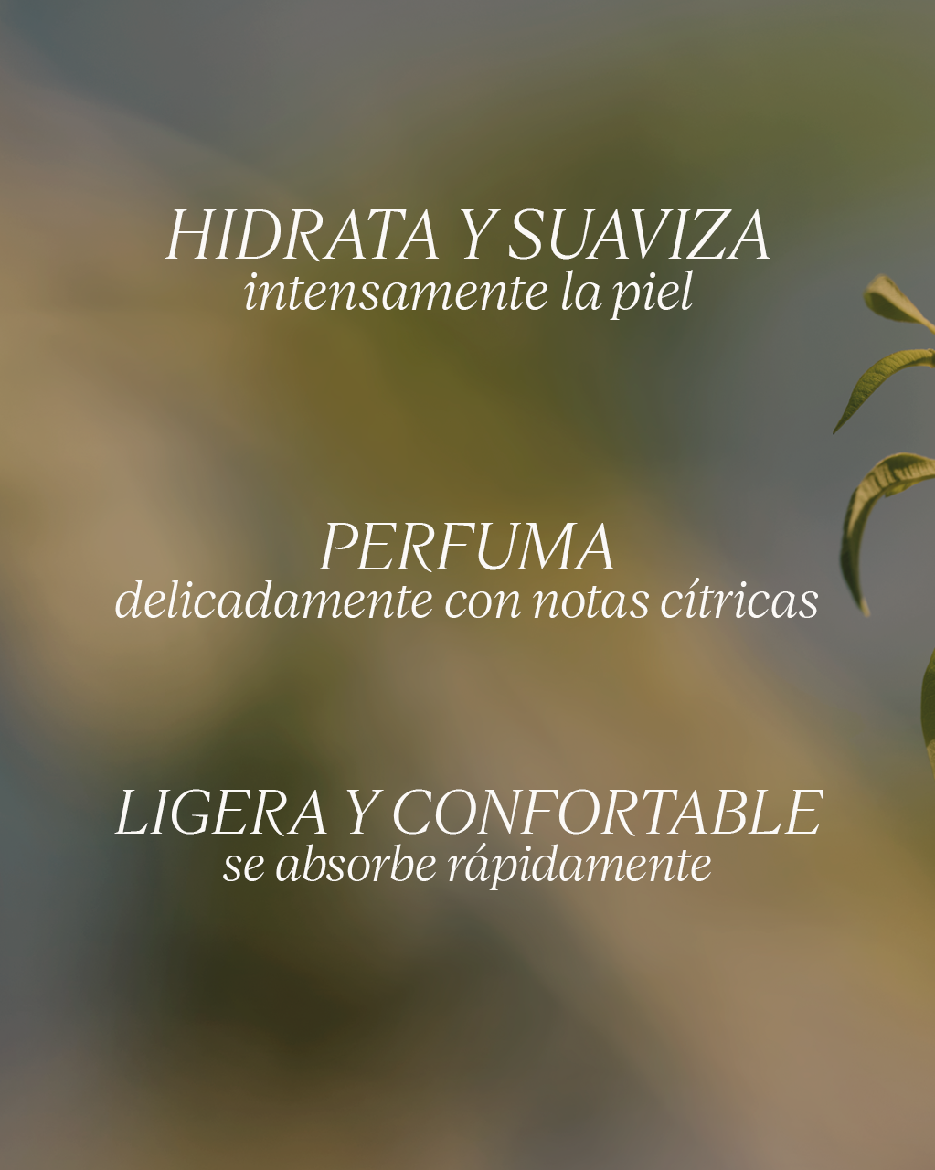 VERBENA PERFUMED SHOWER GEL - Illustration 4