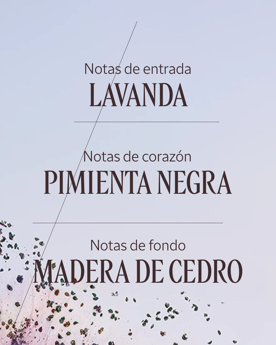 LAVANDE POIVRE NOIR EAU DE TOILETTE - Image 4