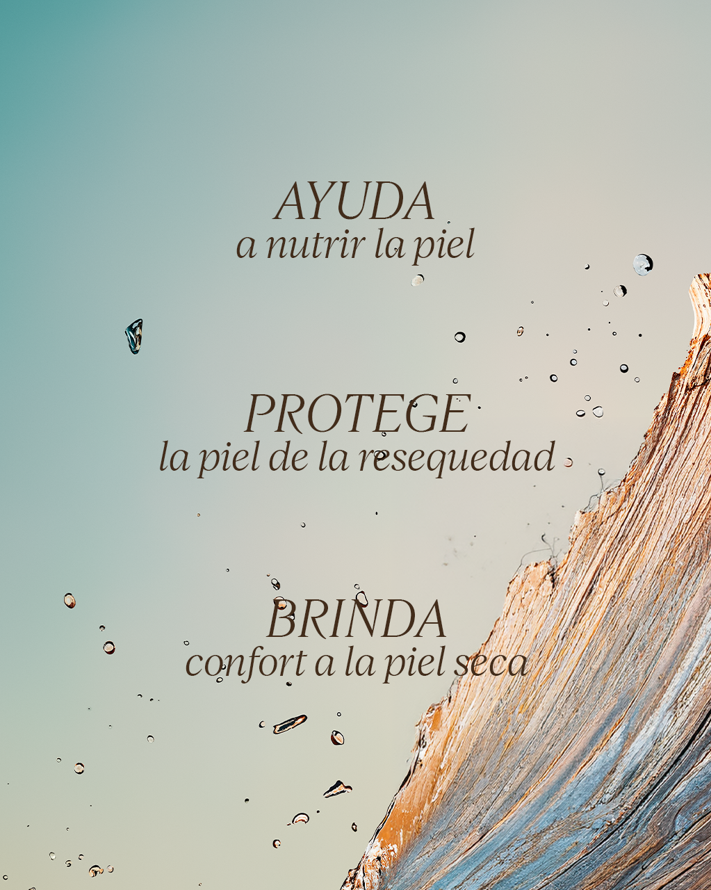 CÈDRE GINGEMBRE PERFUMED SHOWER GEL (CAP CEDRAT) - Illustration 3