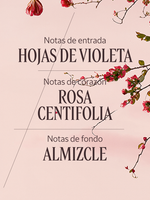 EAU DE TOILETTE ROSE - Illustration 3