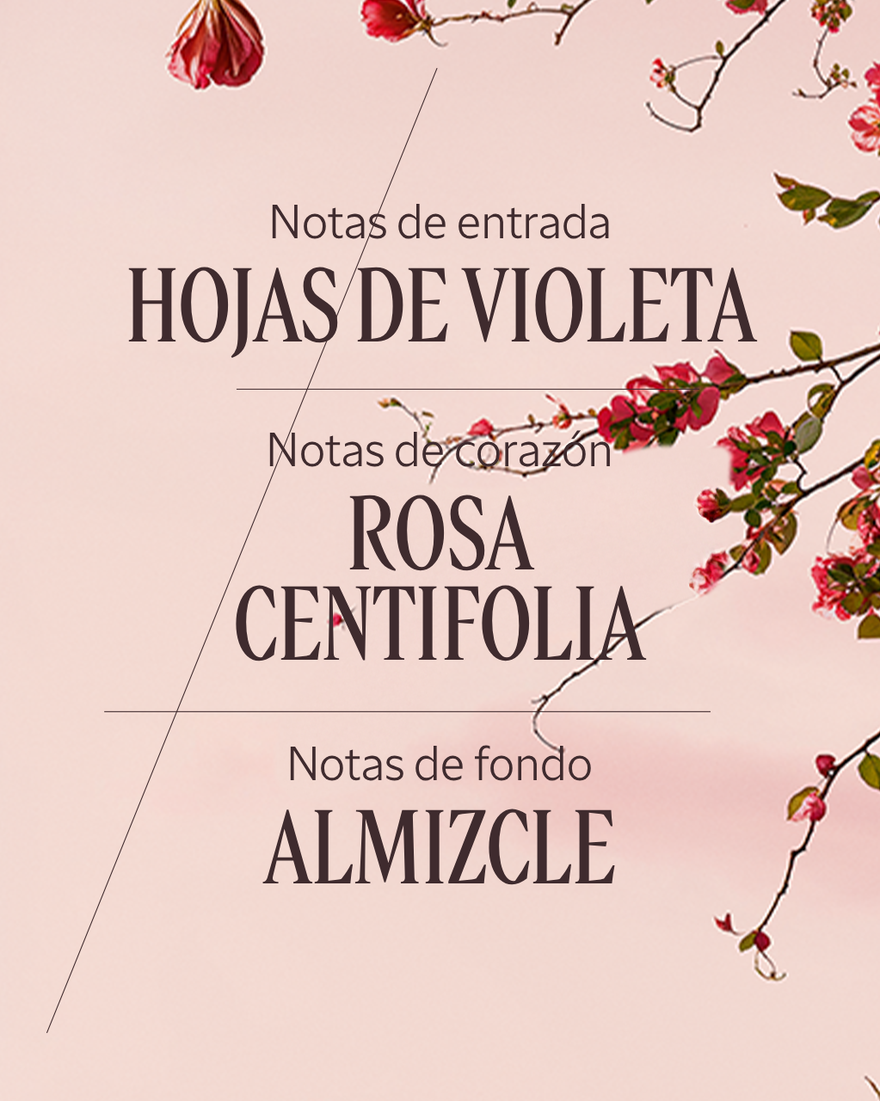 EAU DE TOILETTE ROSE - Illustration 3