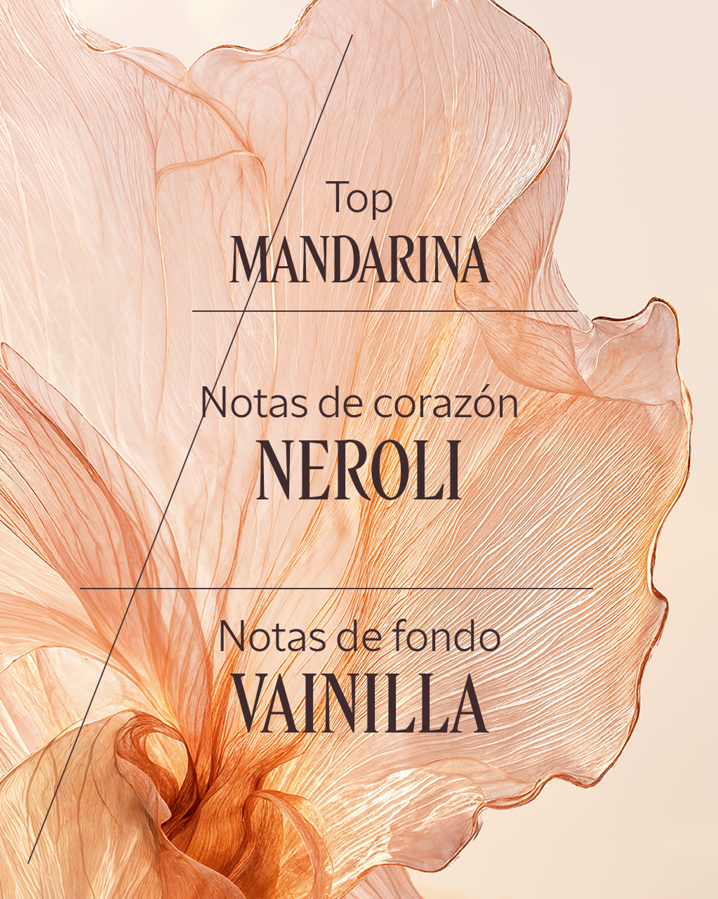 NÉROLI ORCHIDÉE EAU DE TOILETTE - Image 4