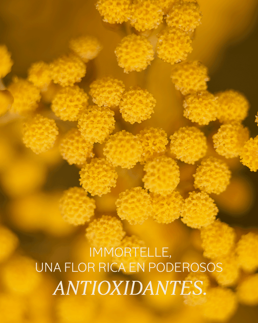 BÁLSAMO DE OJOS PRECIOUS IMMORTELLE