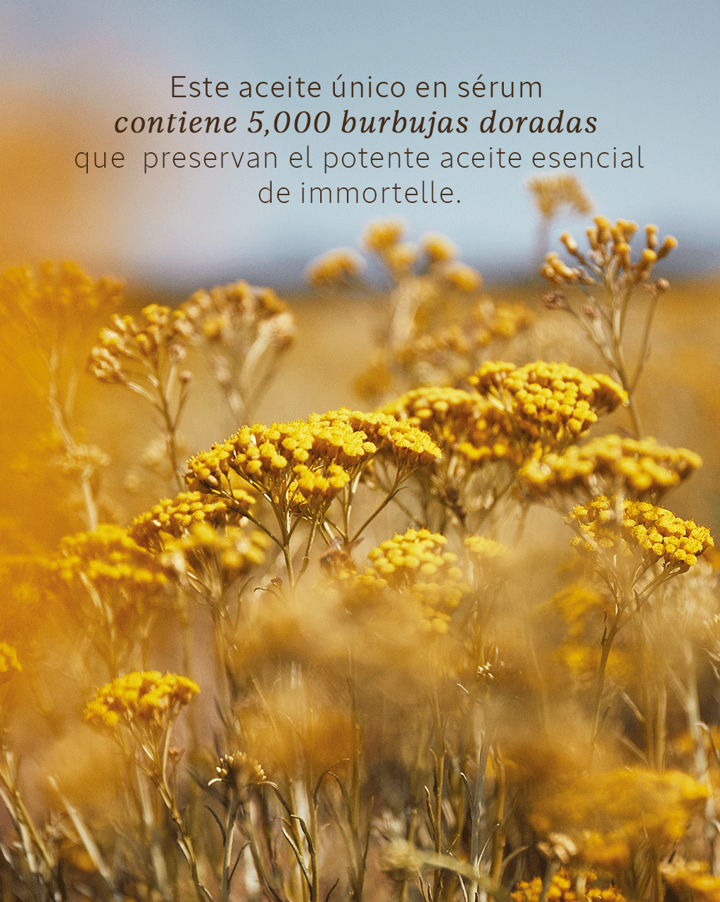 SÉRUM MIRADA RESET IMMORTELLE