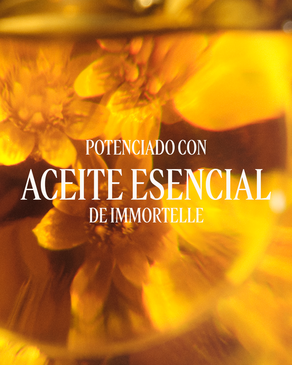 IMMORTELLE DIVINE HAND SERUM-IN-CREAM - Illustration 6