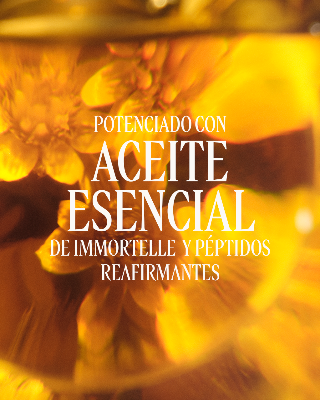 IMMORTELLE DIVINE TARGETED WRINKLE CARE - Illustration 6