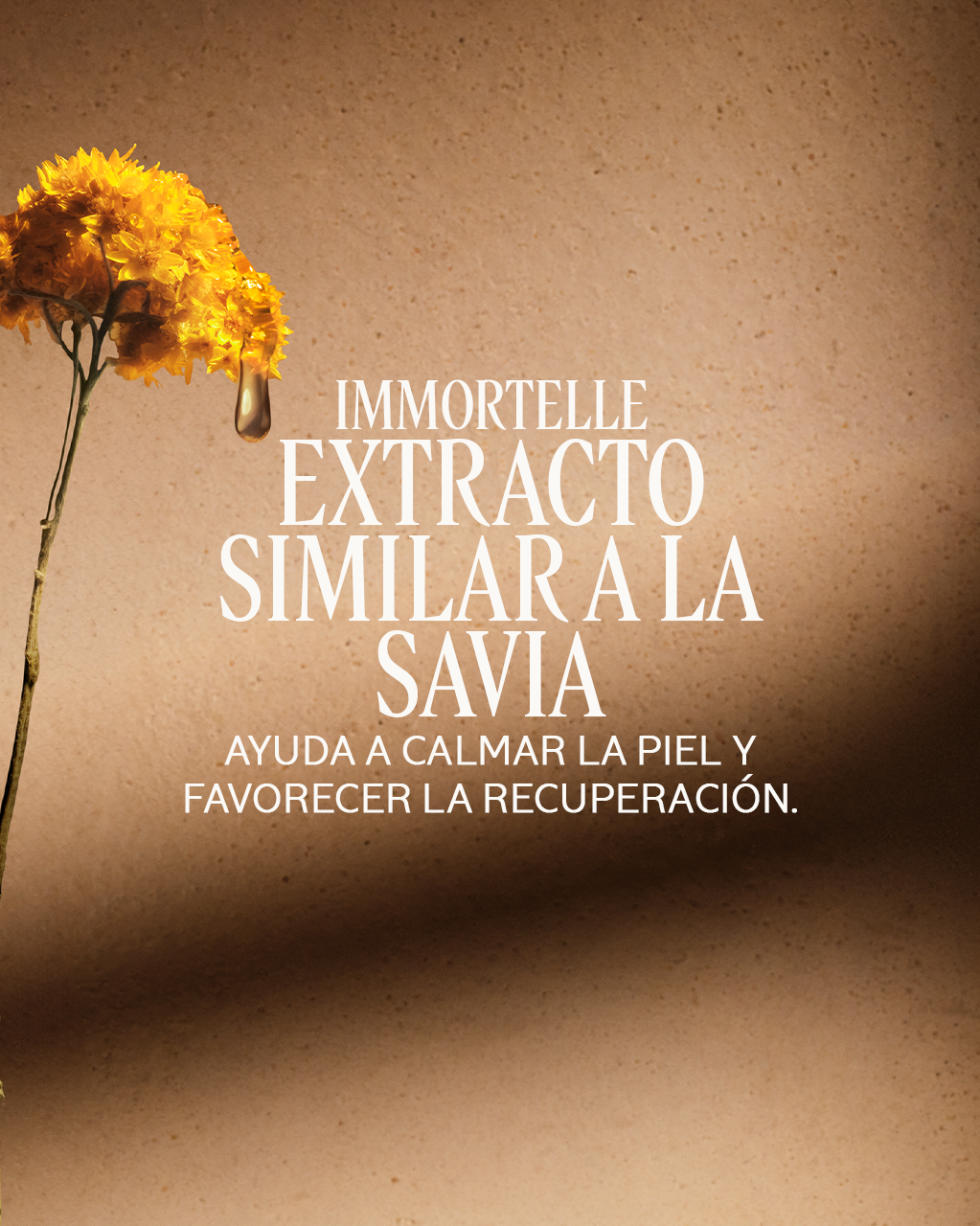 IMMORTELLE RESET TRIPHASE ESSENCE - Illustration 5