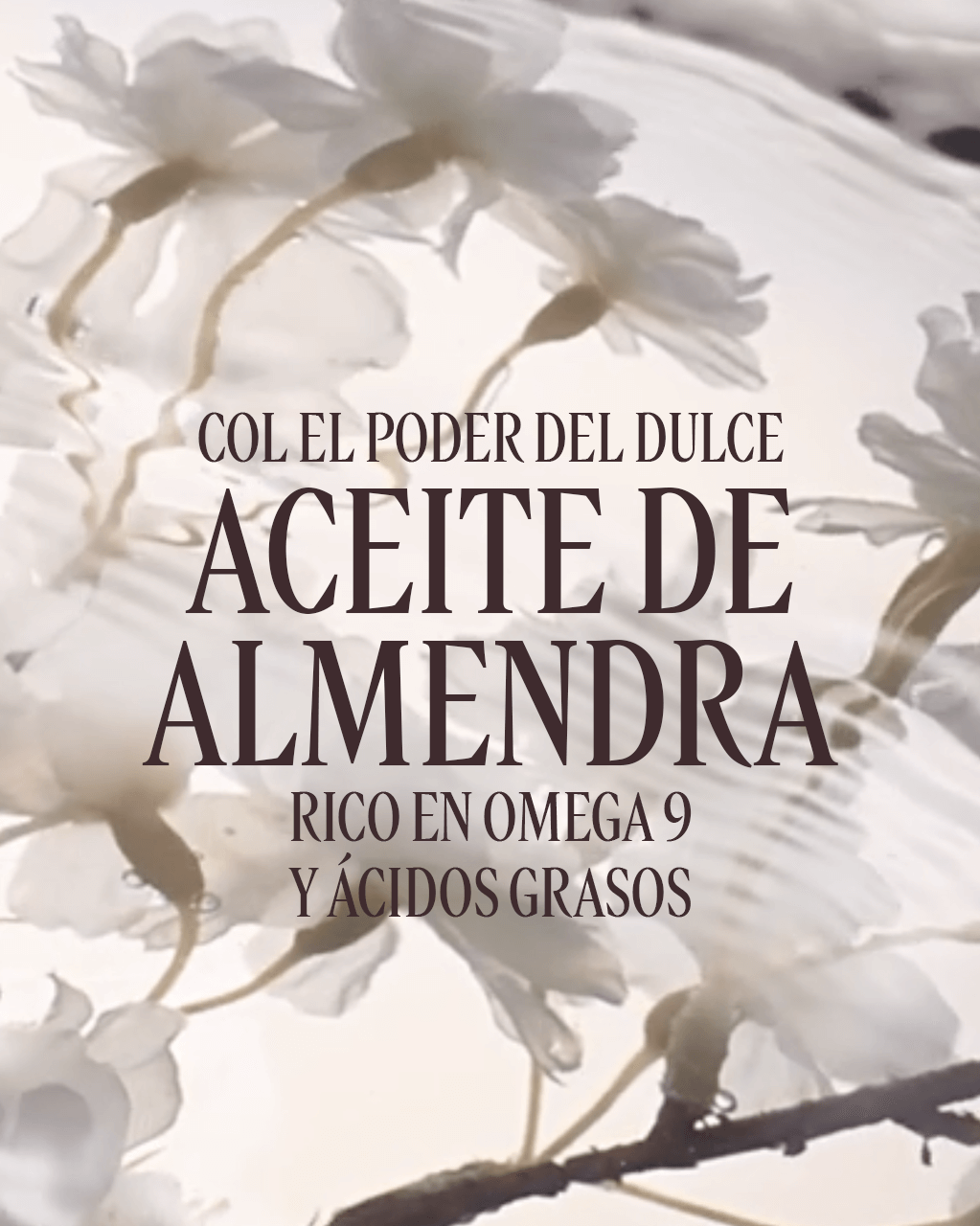 ACEITE DE DUCHA ALMENDRA