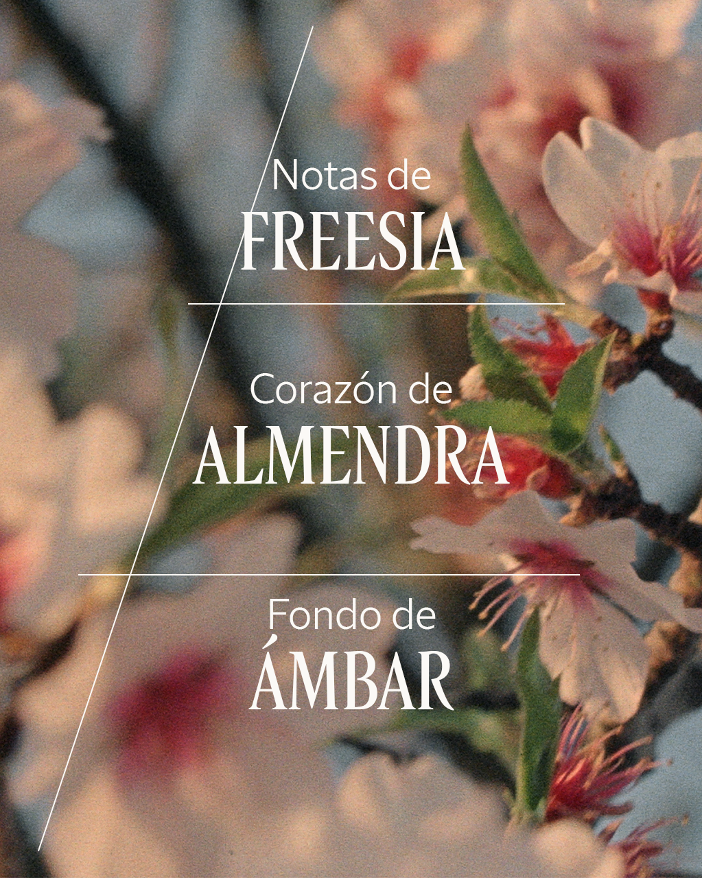 ALMOND HAIR & BODY MIST 100ml