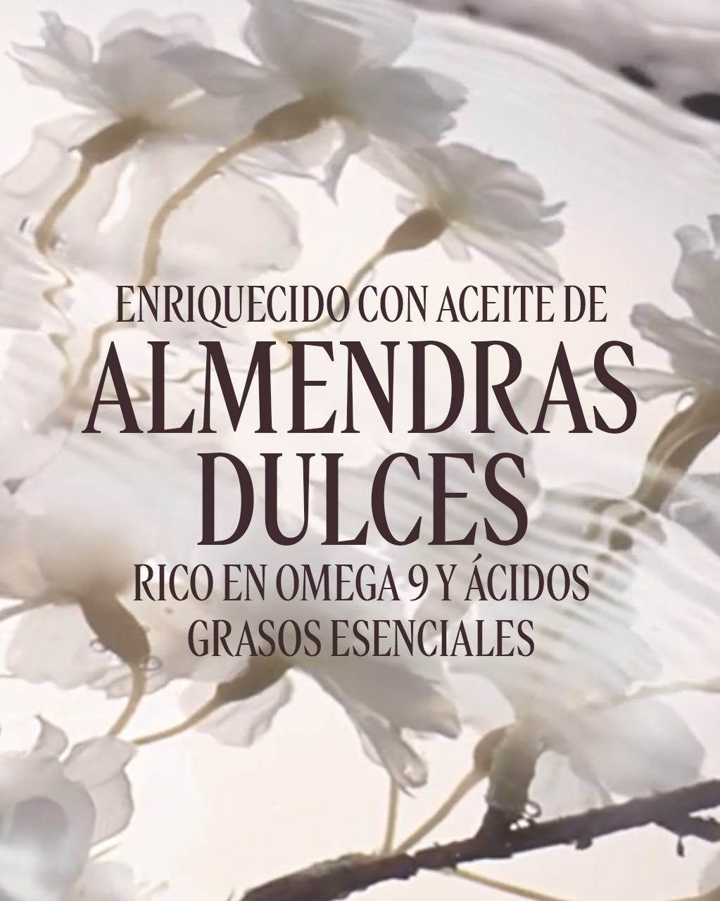 REFILL CONCENTRADO DE LECHE DE ALMENDRA - Illustration 4