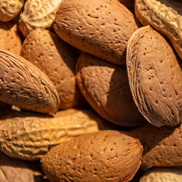 Cáscara de Almendra Triturada