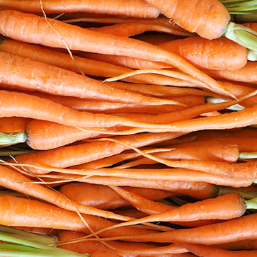 Aceite Vegetal de Zanahoria