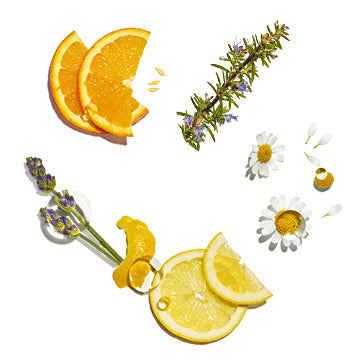 Cocktail de Equibrio