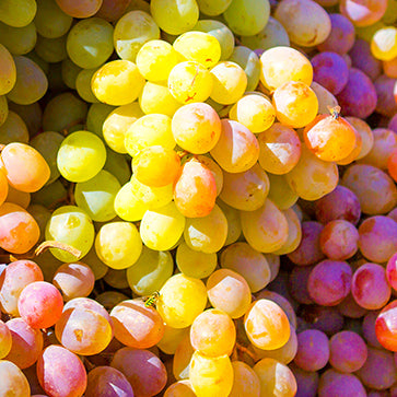 Aceite de Semillas de Uva