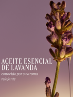 JABÓN LÍQUIDO PARA MANOS Y CUERPO DE KARITÉ LAVANDA