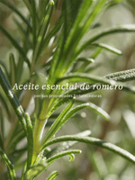 ECO-REFILL SHAMPOO FUERZA Y VOLUMEN  500ML